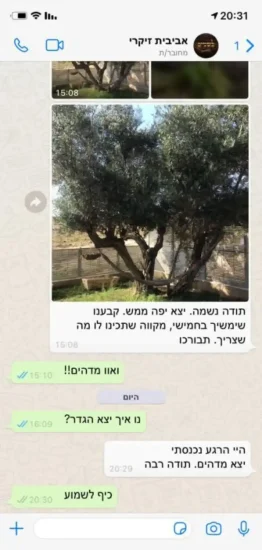 גדרות-המלצות-4